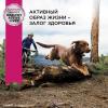Eukanuba Adult Large Breed 1+ years Корм сухой для взрослых собак крупных и очень крупных пород от года и старше