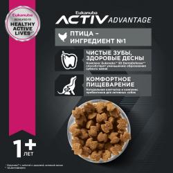 Eukanuba Adult Medium Breed 1+ years Корм сухой для взрослых собак средних пород от года и старше