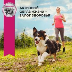 Eukanuba Adult Medium Breed 1+ years Корм сухой для взрослых собак средних пород от года и старше