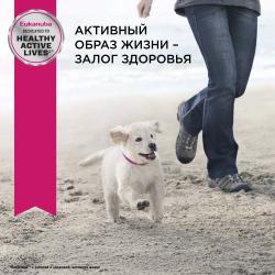 Eukanuba Puppy Toy Breed <12 months Корм сухой для щенков миниатюрных пород в возрасте до 12 месяцев, 500 гр.