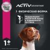 Eukanuba Puppy Medium Breed <12 months Корм сухой для щенков средних пород в возрасте до 12 месяцев