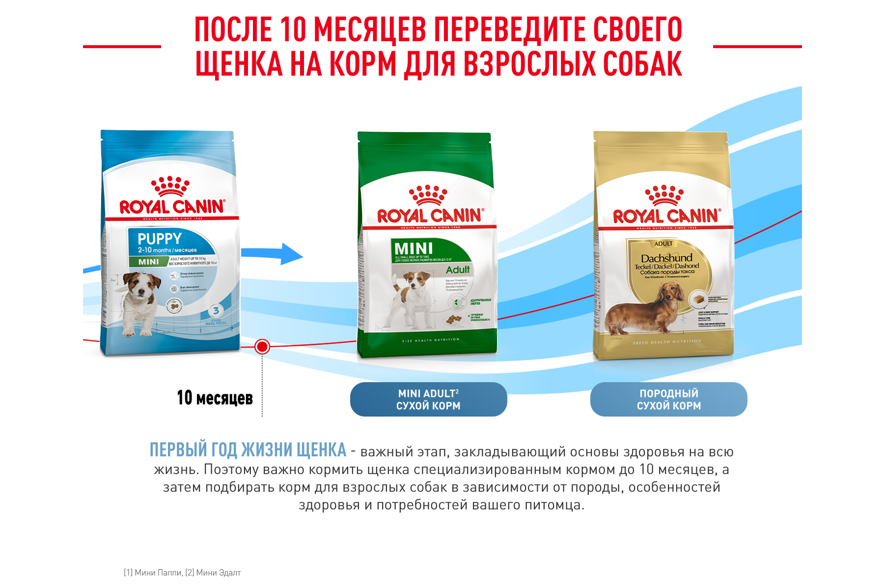 Royal Canin Mini Puppy