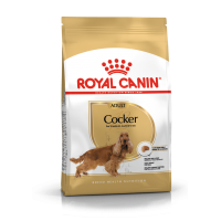Royal Canin Cocker Adult Корм сухой для взрослых собак породы Кокер Спаниель от 12 месяцев